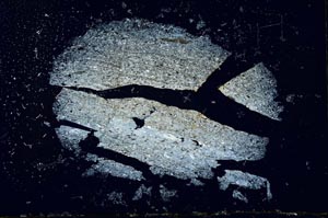 Cross Polarized, S16938