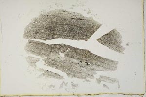 Plane Polarized, S16938