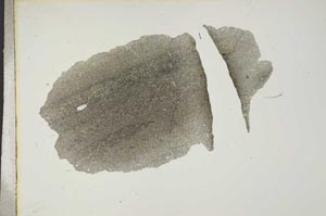 Plane Polarized, S16946