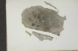 Plane Polarized, S16947