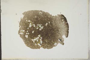 Plane Polarized, S16948
