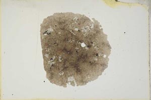 Plane Polarized, S16949