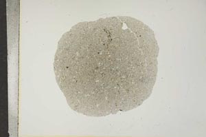 Plane Polarized, S16953