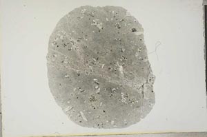 Plane Polarized, S16957