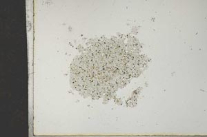 Plane Polarized, S16960