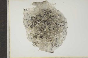 Plane Polarized, S16963