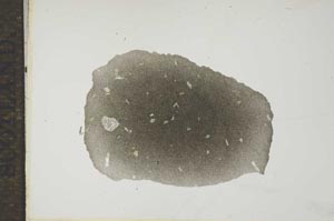 Plane Polarized, S16970