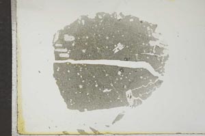 Plane Polarized, S16976