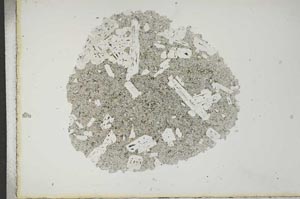 Plane Polarized, S16977