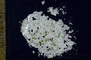 Cross Polarized, S16984