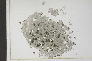 Plane Polarized, S16984