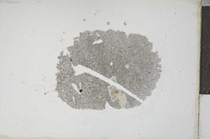 Plane Polarized, S16988
