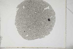 Plane Polarized, S16990