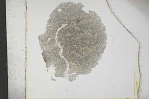 Plane Polarized, S16992