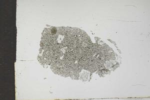 Plane Polarized, S16994