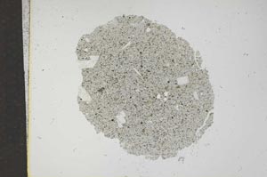 Plane Polarized, S16995