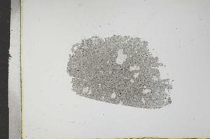 Plane Polarized, S17004
