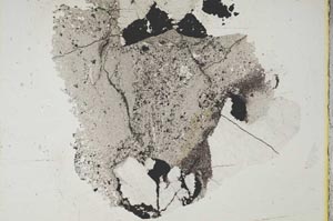 Plane Polarized, S17019