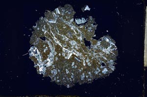 Cross Polarized, S17035