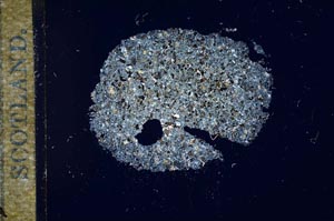 Cross Polarized, S17038