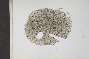 Plane Polarized, S17038