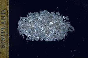 Cross Polarized, S17039