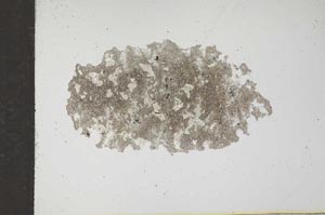 Plane Polarized, S17039