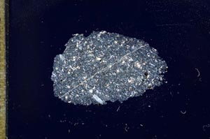 Cross Polarized, S17042