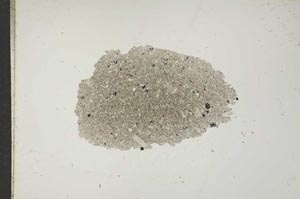 Plane Polarized, S17042