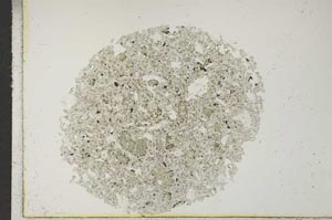 Plane Polarized, S17044