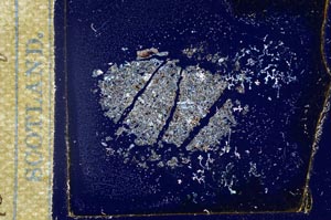 Cross Polarized, S17045