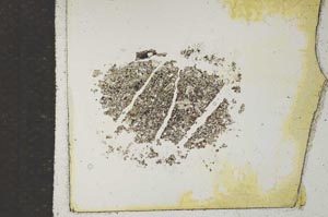 Plane Polarized, S17045