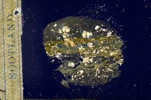 Cross Polarized, S17046