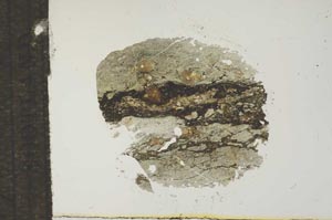 Plane Polarized, S17046