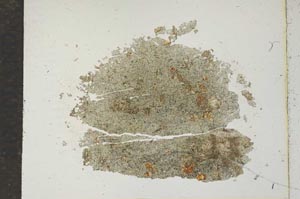 Plane Polarized, S17047