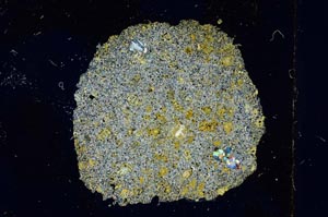 Cross Polarized, S17048