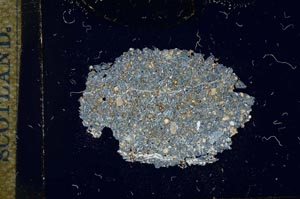 Cross Polarized, S17049