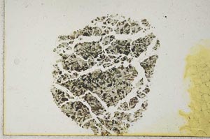 Plane Polarized, S17050