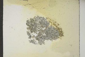 Plane Polarized, S17051