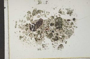 Plane Polarized, S17052