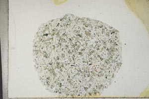 Plane Polarized, S17054