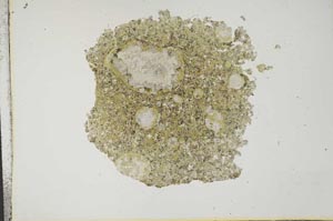 Plane Polarized, S17076