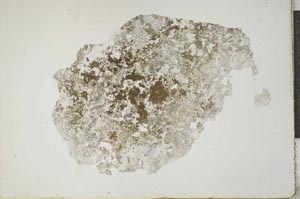 Plane Polarized, S17077