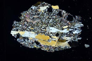 Cross Polarized, S17091