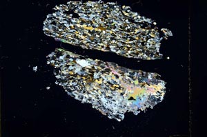 Cross Polarized, S17093