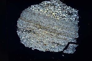 Cross Polarized, S17094