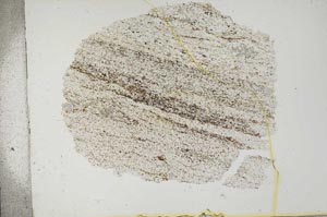 Plane Polarized, S17094