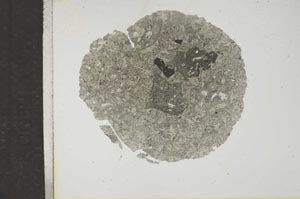 Plane Polarized, S17095