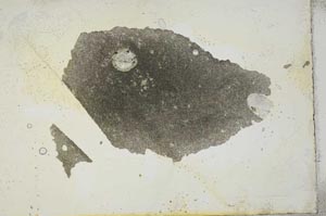Plane Polarized, S17097