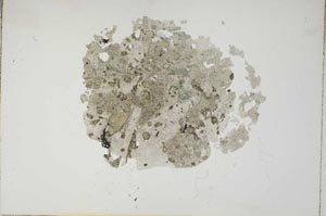 Plane Polarized, S17107